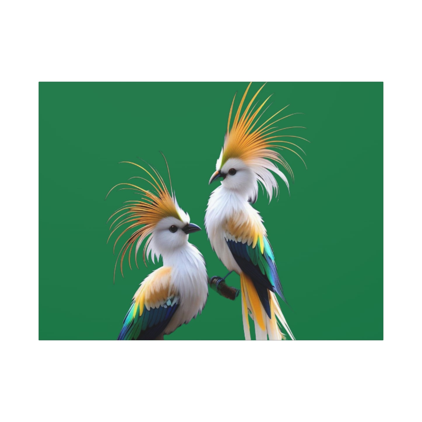 Nature-Inspired Decor & Wearables