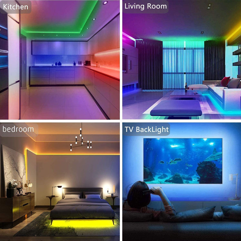 Glow Nest