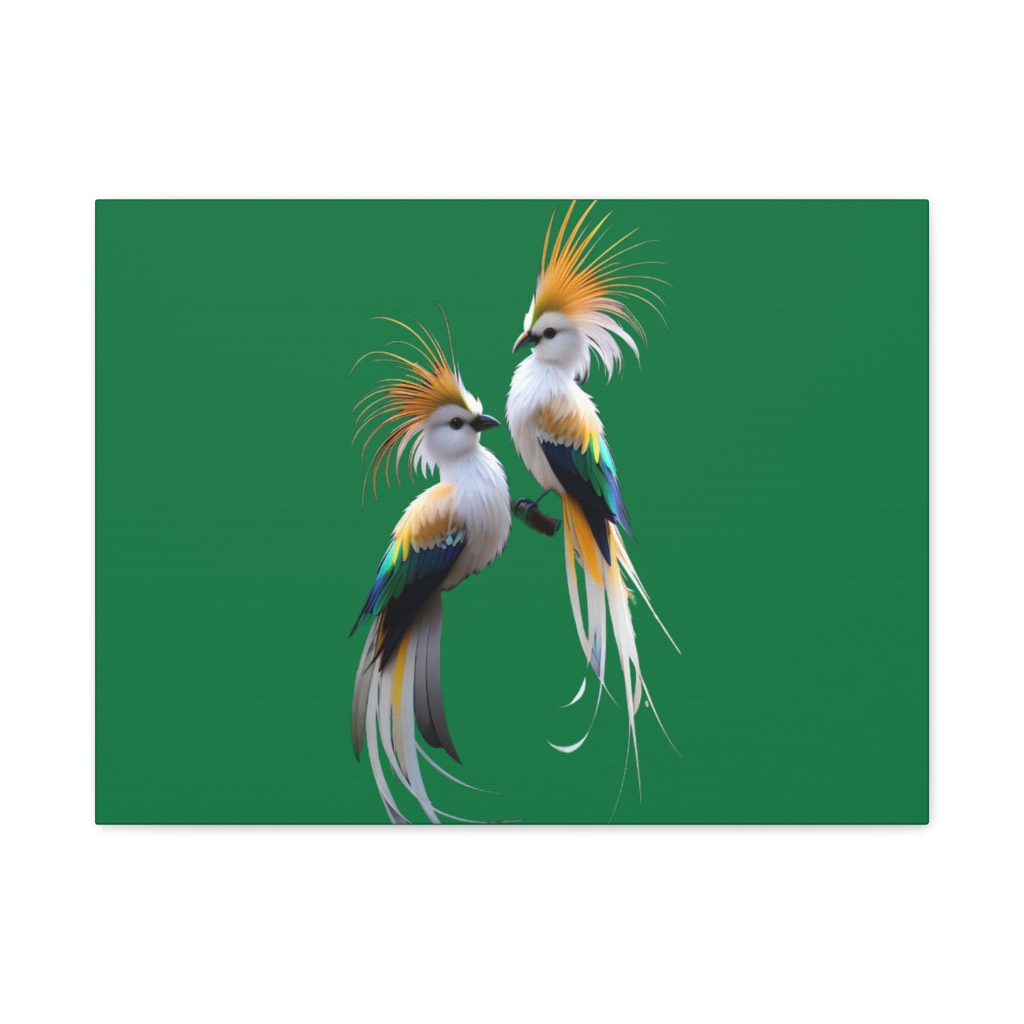 Nature-Inspired Decor & Wearables