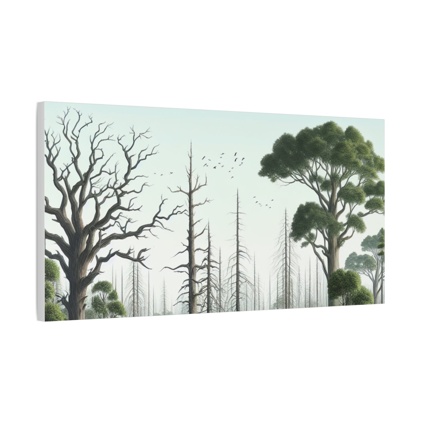 Nature-Inspired Decor & Wearables
