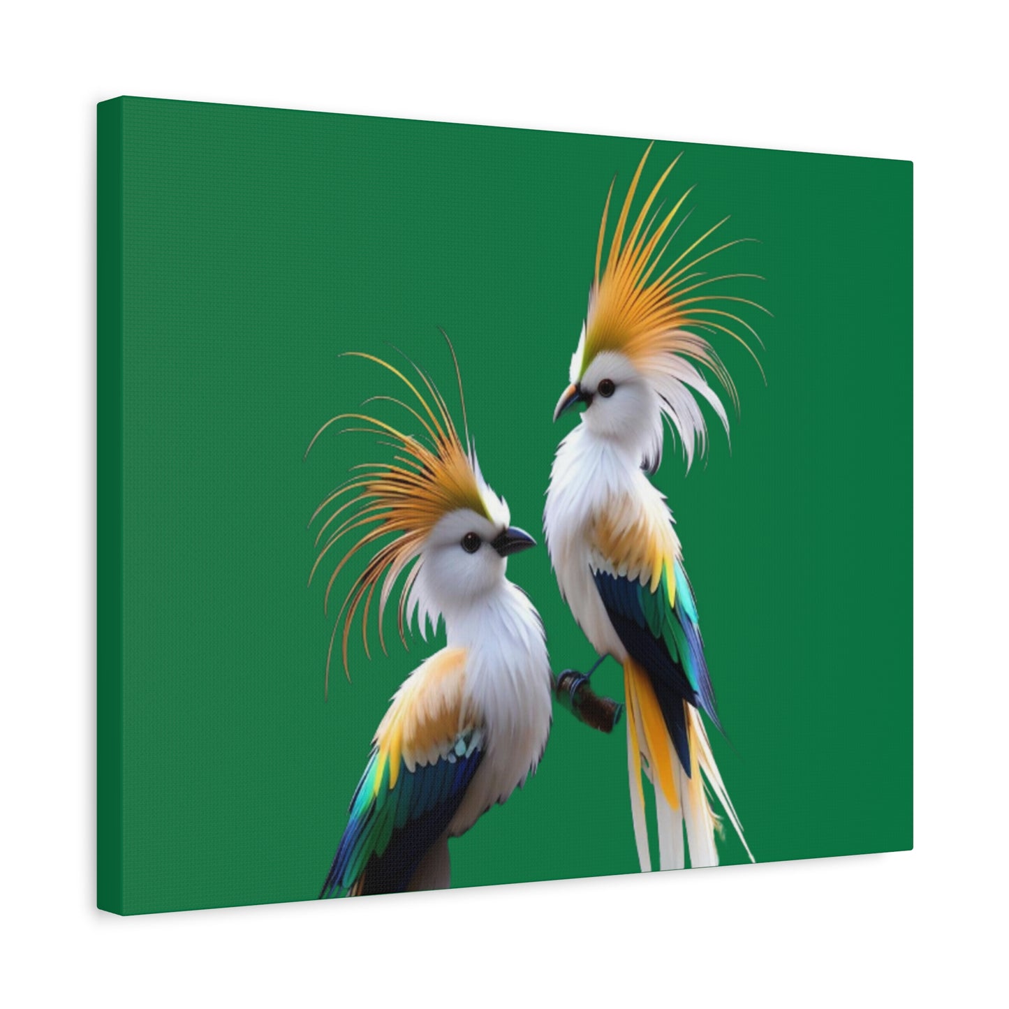 Nature-Inspired Decor & Wearables
