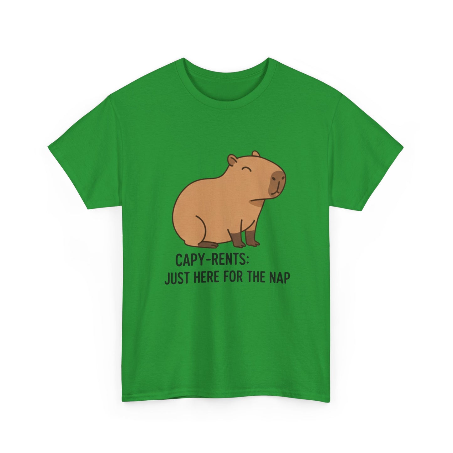 Just here for a nap capy T Shirt