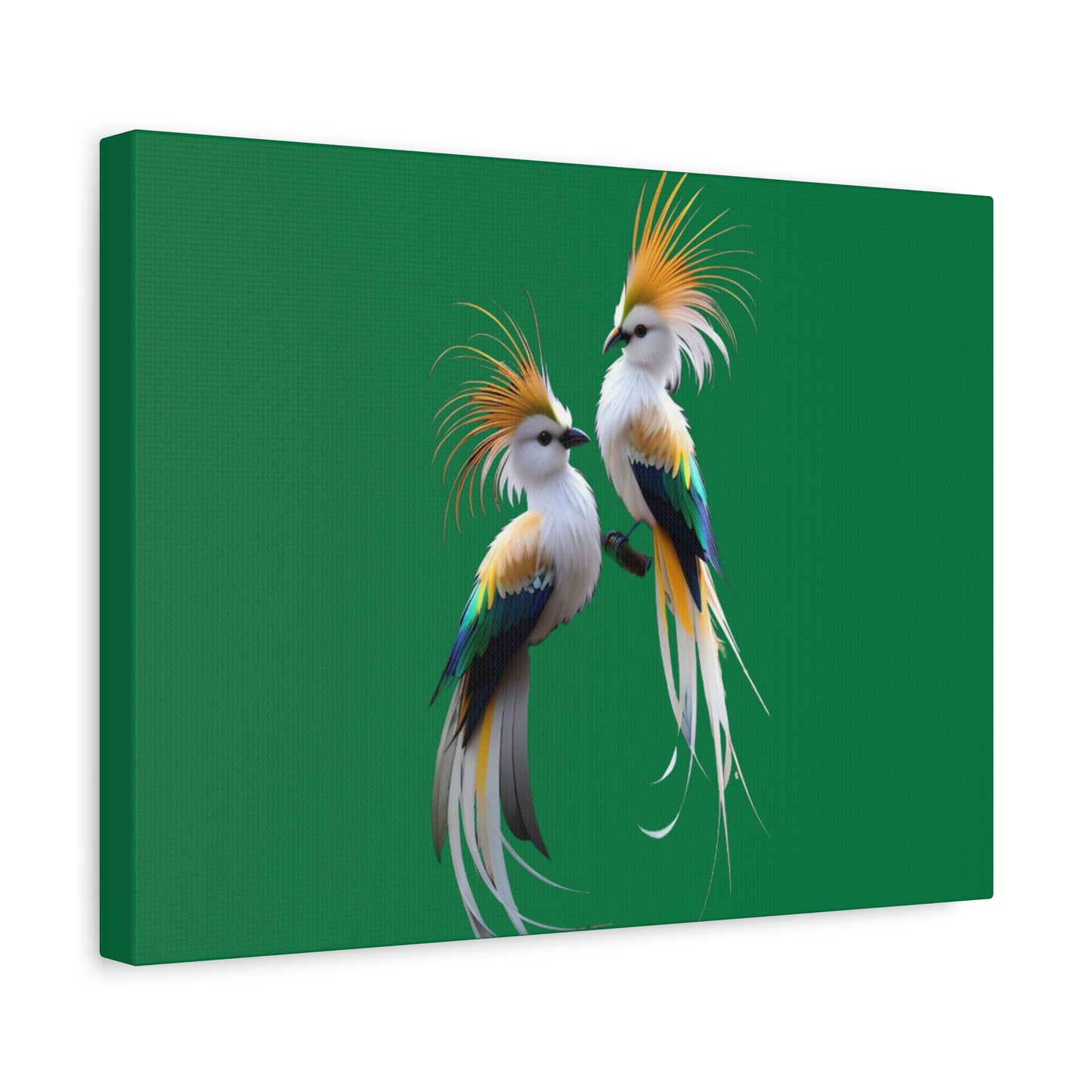 Nature-Inspired Decor & Wearables