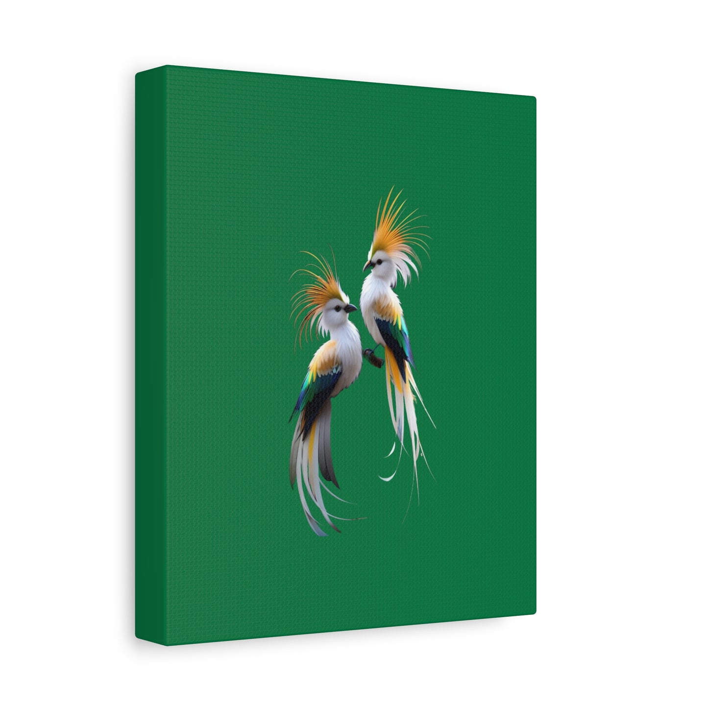Nature-Inspired Decor & Wearables