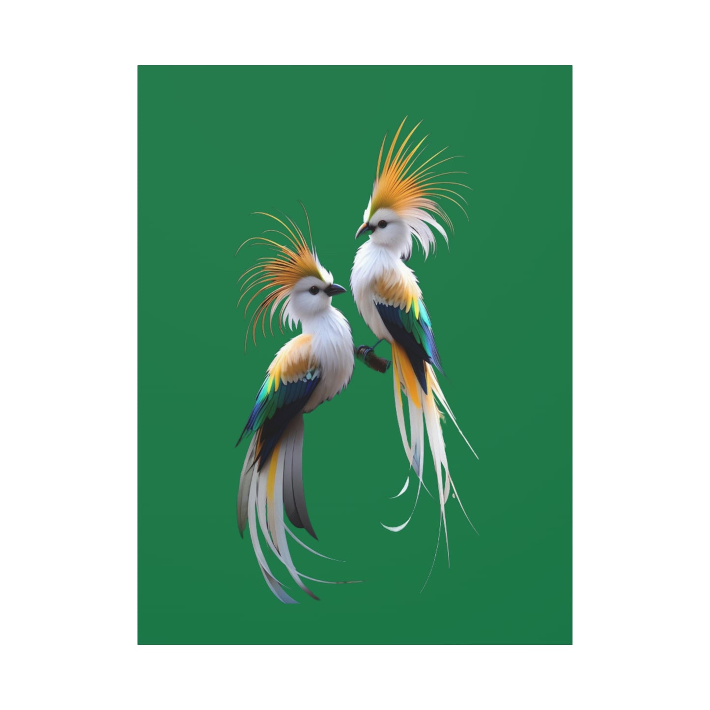 Nature-Inspired Decor & Wearables