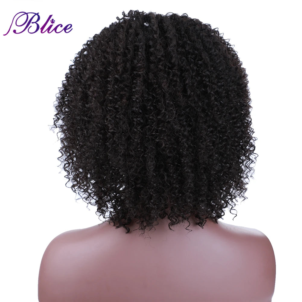 Crown & Glory Wigs  Blice Afro Kinky Curly Middle Part Closure Wig Natural Mixed Synthetic Hair Wigs 16 Inch Black Color For Women