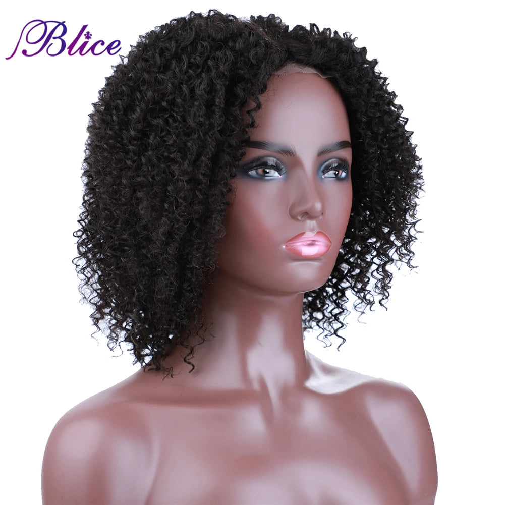 Crown & Glory Wigs  Blice Afro Kinky Curly Middle Part Closure Wig Natural Mixed Synthetic Hair Wigs 16 Inch Black Color For Women