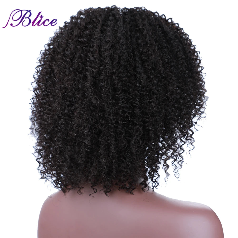 Crown & Glory Wigs  Blice Afro Kinky Curly Middle Part Closure Wig Natural Mixed Synthetic Hair Wigs 16 Inch Black Color For Women