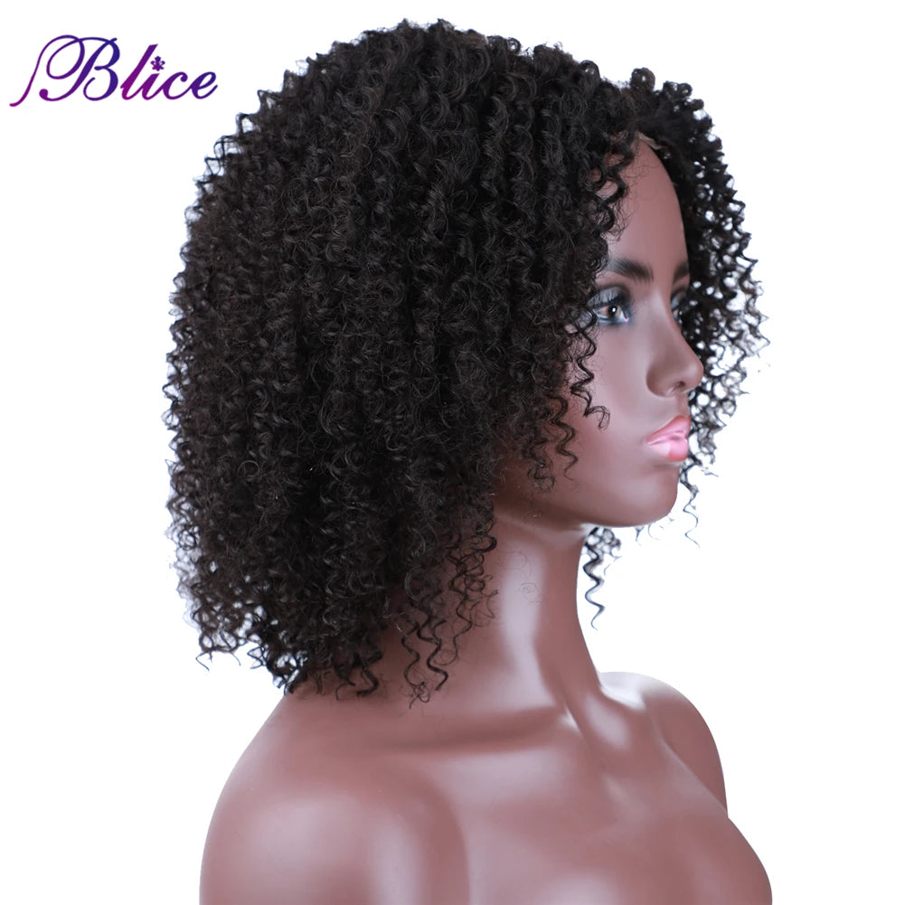 Crown & Glory Wigs  Blice Afro Kinky Curly Middle Part Closure Wig Natural Mixed Synthetic Hair Wigs 16 Inch Black Color For Women