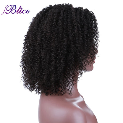 Crown & Glory Wigs  Blice Afro Kinky Curly Middle Part Closure Wig Natural Mixed Synthetic Hair Wigs 16 Inch Black Color For Women