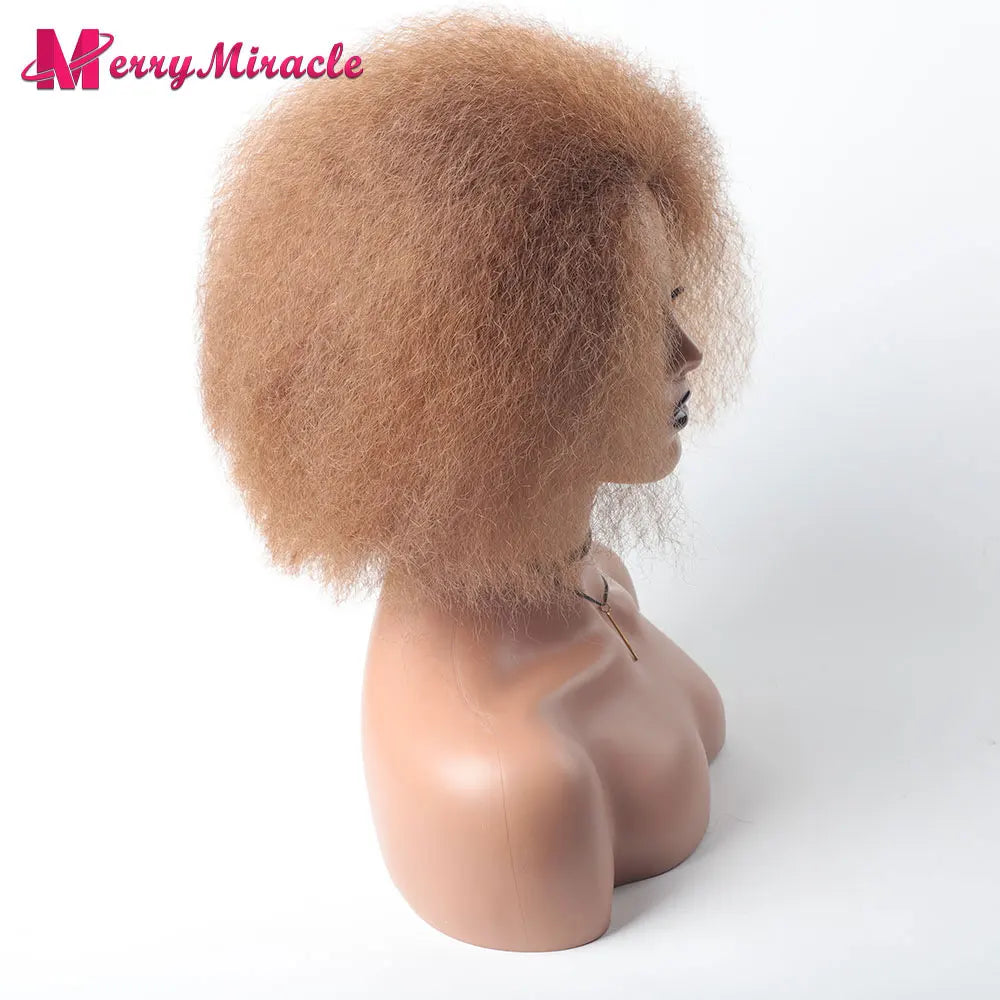 Crown & Glory Wigs  Short Fluffy Straight Synthetic Wig for  Women Kinky Straight Hair Natural Colour Afro Wigs for Women