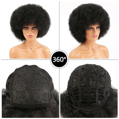 Crown & Glory Wigs Synthetic Afro Kinky Curly Wig With Bangs Big 70s Soft Afro Wig For Black Women Machine Made Cosplay Wig Natural Brown Black