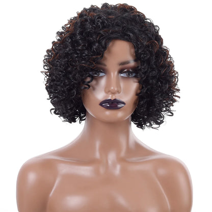 Crown & Glory Wigs Short Curly Hair Wig - 12 Inch Brown Black Mix, Heat Resistant Synthetic Fiber, Women's Hair Replacement