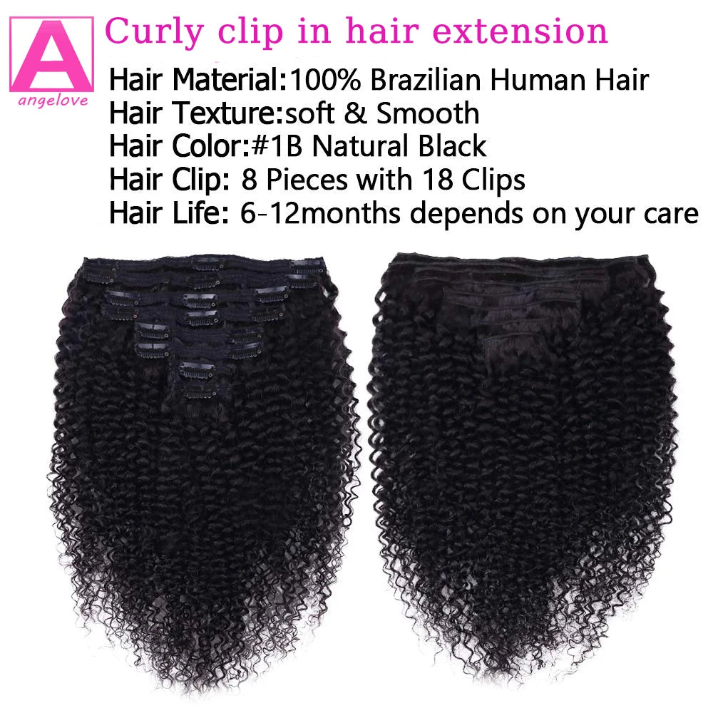 Crown & Glory Wigs