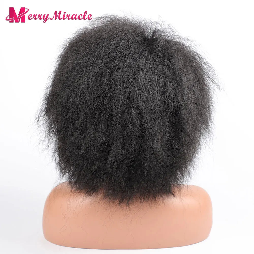 Crown & Glory Wigs  Short Fluffy Straight Synthetic Wig for  Women Kinky Straight Hair Natural Colour Afro Wigs for Women