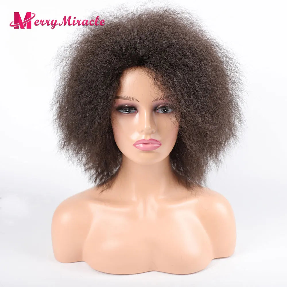 Crown & Glory Wigs  Short Fluffy Straight Synthetic Wig for  Women Kinky Straight Hair Natural Colour Afro Wigs for Women