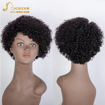 Crown & Glory Wigs Joedir Short Brown Human Hair Wigs Bob Pixie Cut Afro Kinky Brazilian Hair for Black Women Machine Part Side With Bang Cheap Wig