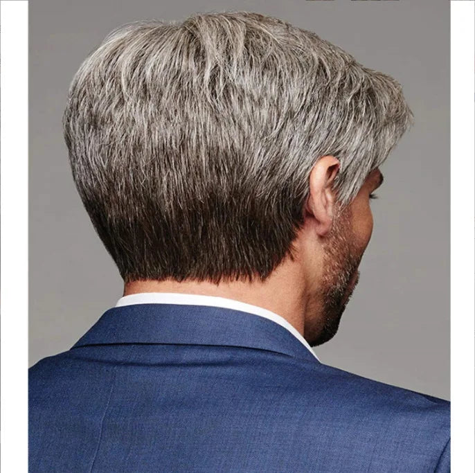 Crown & Glory Wigs   Wigs men's gradient grey parted bangs short straight hair wig set