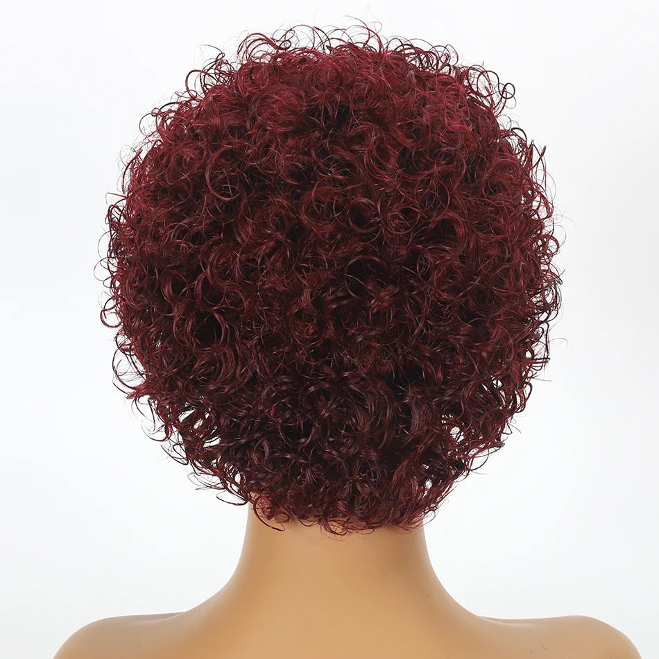 Crown & Glory Wigs  Pixie Cut Wigs Short Kinky Curly Lace Front Human Hair Wigs 13x2 Transparent Lace Frontal Wigs 1B/99 Ombre Water Wave Bob Wig