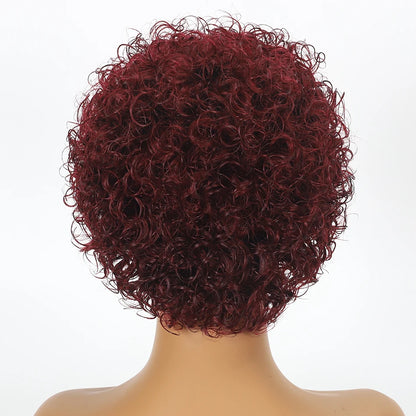 Crown & Glory Wigs  Pixie Cut Wigs Short Kinky Curly Lace Front Human Hair Wigs 13x2 Transparent Lace Frontal Wigs 1B/99 Ombre Water Wave Bob Wig