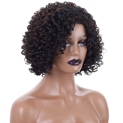 Crown & Glory Wigs Short Curly Hair Wig - 12 Inch Brown Black Mix, Heat Resistant Synthetic Fiber, Women's Hair Replacement