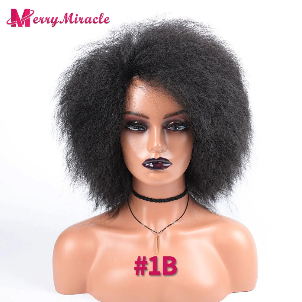 Crown & Glory Wigs  Short Fluffy Straight Synthetic Wig for  Women Kinky Straight Hair Natural Colour Afro Wigs for Women