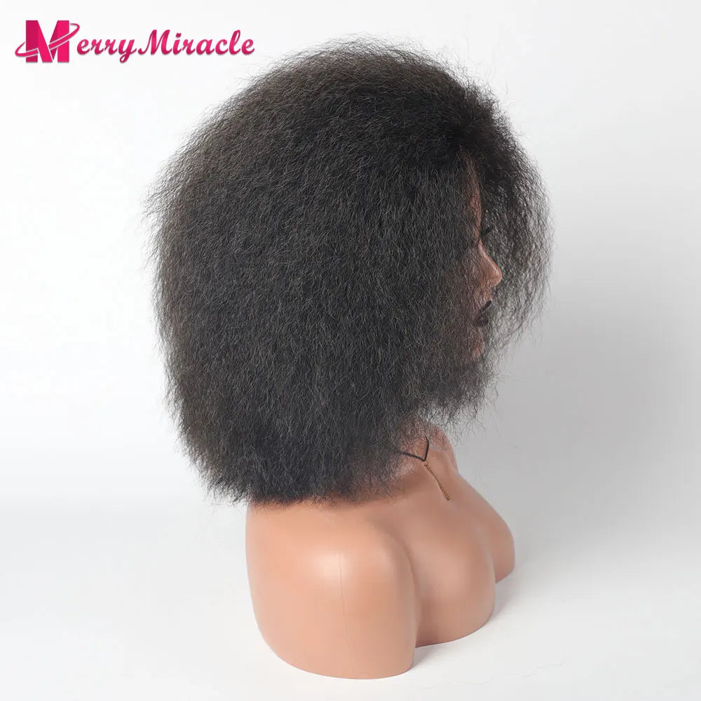 Crown & Glory Wigs  Short Fluffy Straight Synthetic Wig for  Women Kinky Straight Hair Natural Colour Afro Wigs for Women