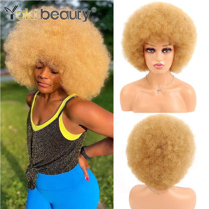 Crown & Glory Wigs Synthetic Afro Kinky Curly Wig With Bangs Big 70s Soft Afro Wig For Black Women Machine Made Cosplay Wig Natural Brown Black