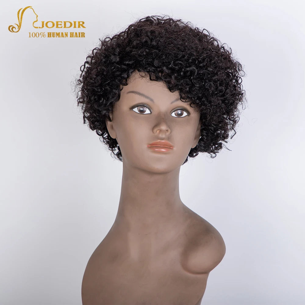 Crown & Glory Wigs Joedir Short Brown Human Hair Wigs Bob Pixie Cut Afro Kinky Brazilian Hair for Black Women Machine Part Side With Bang Cheap Wig