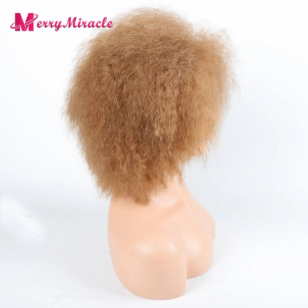 Crown & Glory Wigs  Short Fluffy Straight Synthetic Wig for  Women Kinky Straight Hair Natural Colour Afro Wigs for Women