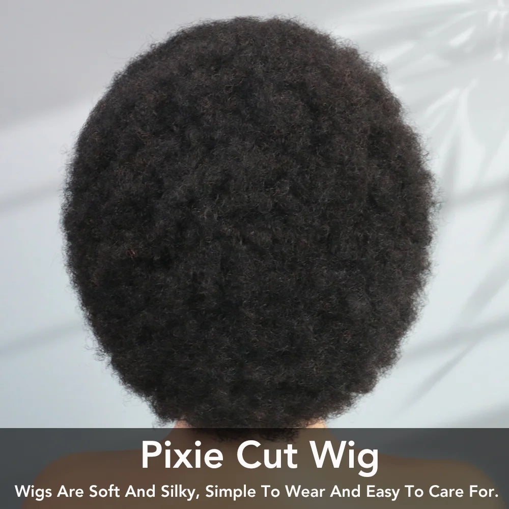 Crown & Glory Wigs