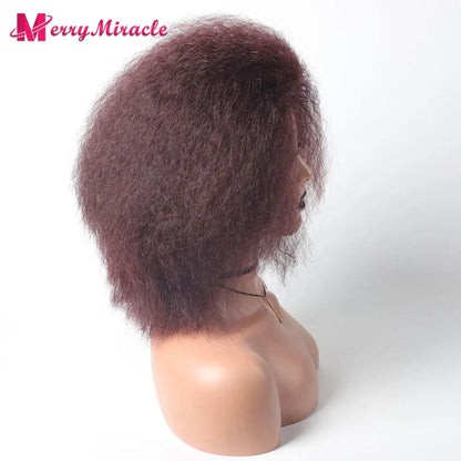 Crown & Glory Wigs  Short Fluffy Straight Synthetic Wig for  Women Kinky Straight Hair Natural Colour Afro Wigs for Women