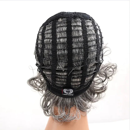 Crown & Glory Wigs HAIRJOY Women Synthetic Hair Heat Resistant Fiber  Short Curly Wigs Gray Fluffy Layered with Bangs