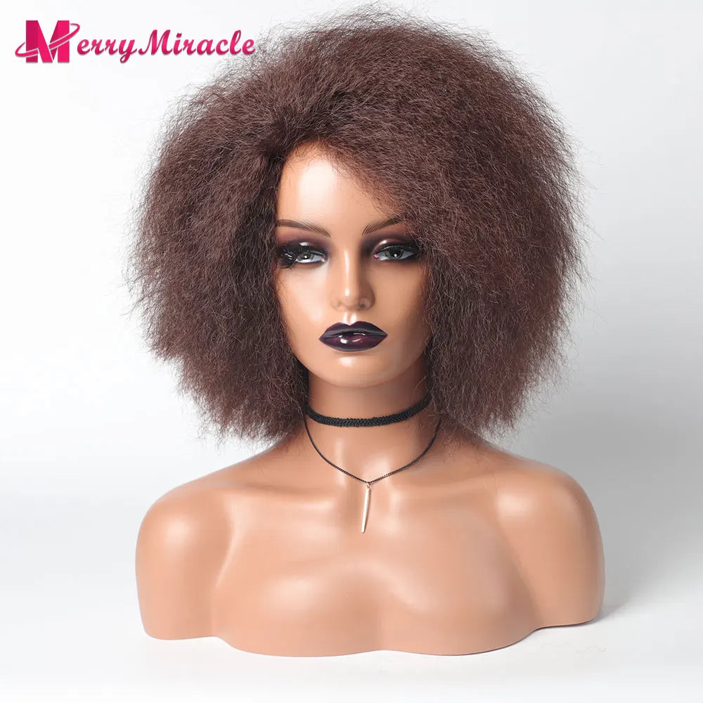 Crown & Glory Wigs  Short Fluffy Straight Synthetic Wig for  Women Kinky Straight Hair Natural Colour Afro Wigs for Women