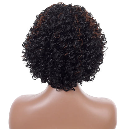 Crown & Glory Wigs Short Curly Hair Wig - 12 Inch Brown Black Mix, Heat Resistant Synthetic Fiber, Women's Hair Replacement