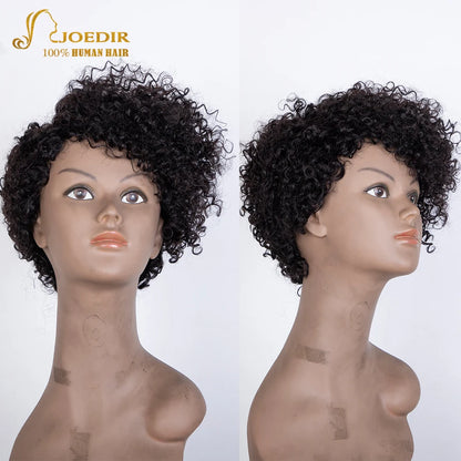 Crown & Glory Wigs Joedir Short Brown Human Hair Wigs Bob Pixie Cut Afro Kinky Brazilian Hair for Black Women Machine Part Side With Bang Cheap Wig