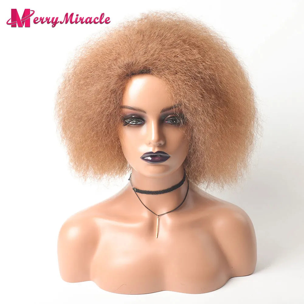 Crown & Glory Wigs  Short Fluffy Straight Synthetic Wig for  Women Kinky Straight Hair Natural Colour Afro Wigs for Women