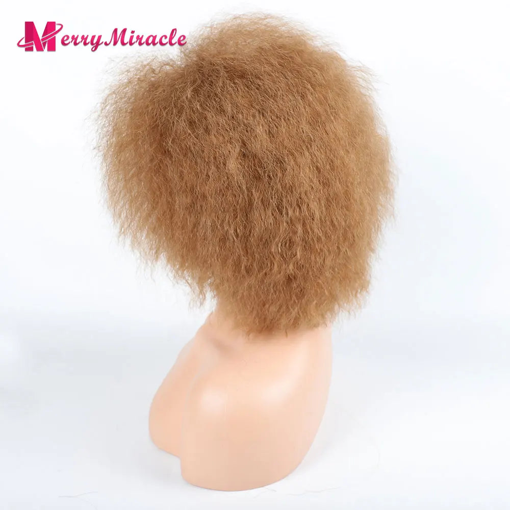 Crown & Glory Wigs  Short Fluffy Straight Synthetic Wig for  Women Kinky Straight Hair Natural Colour Afro Wigs for Women