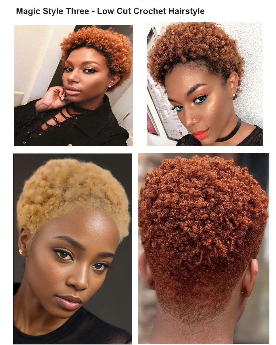 Crown & Glory Wigs