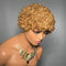 Crown & Glory Wigs Short Curly 99J Wig For Woman 100% Human Hair Wigs Full Machine Made Pixie Curl Kinky Curly Wigs