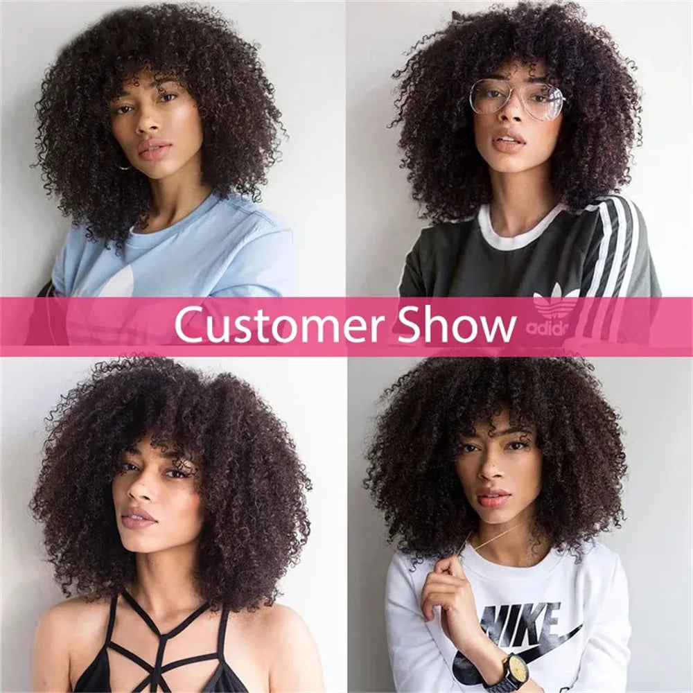 Crown & Glory Wigs  Afro Kinky Curly Wig With Bangs Brazilian Short Curly Human Hair Wigs For  Women Full Machine Made Wig Remy Natural Colour