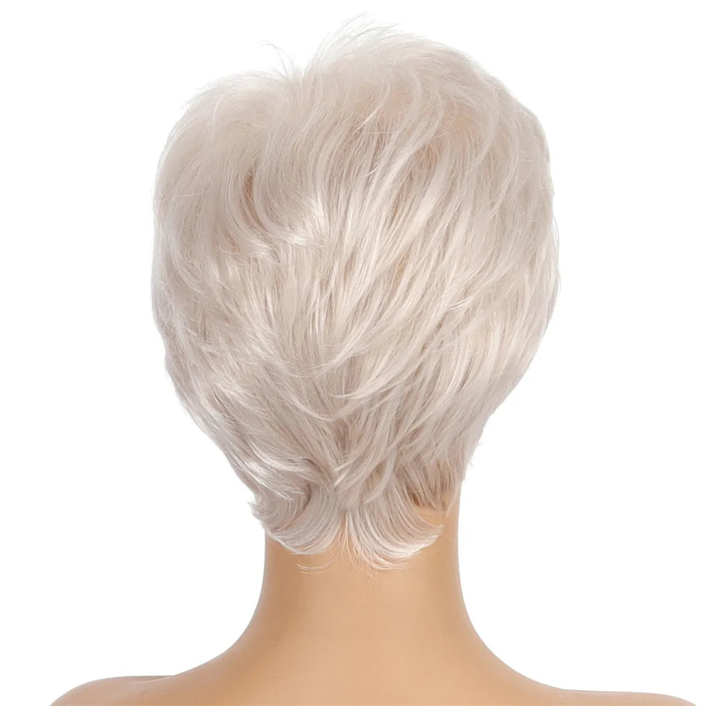 Crown & Glory Wigs
