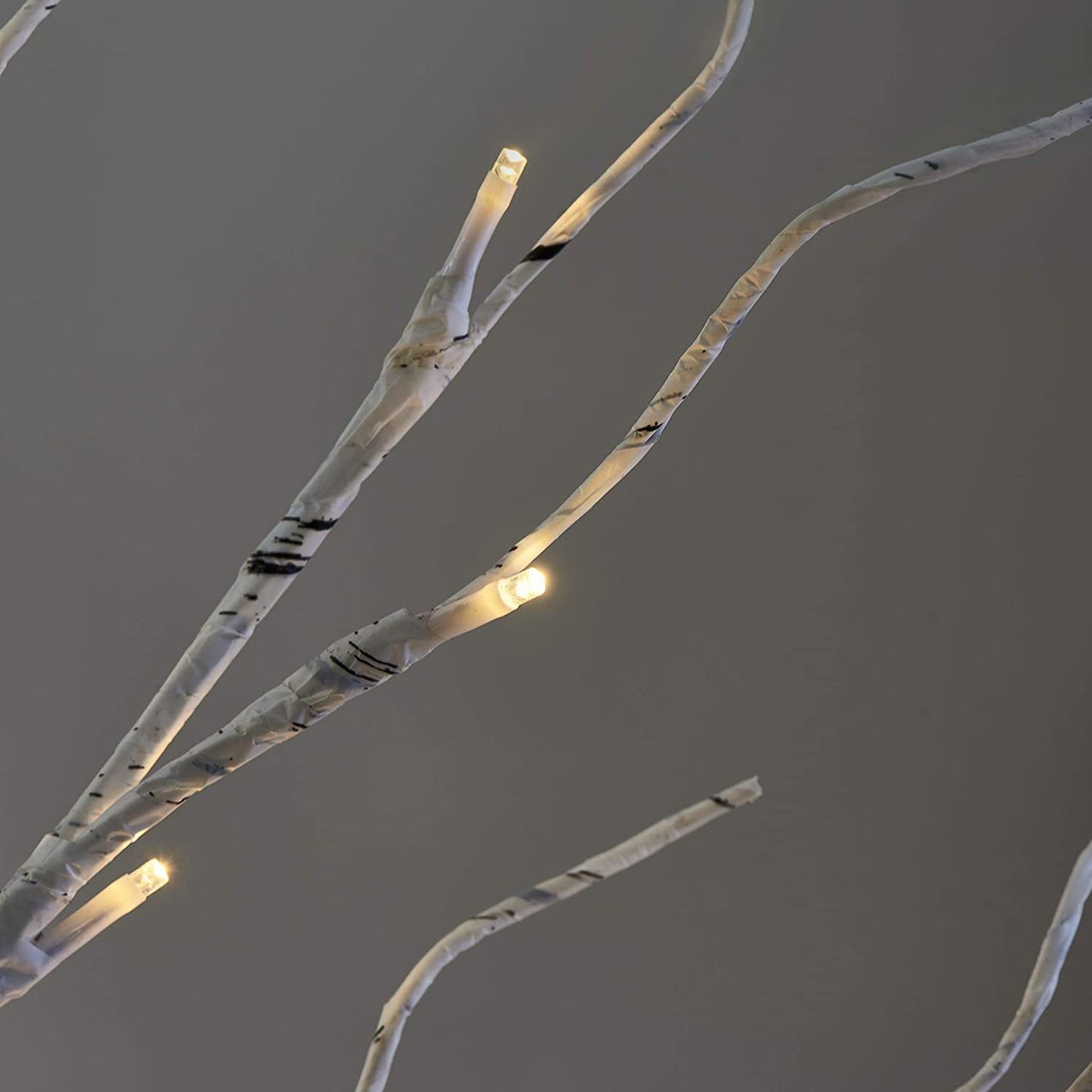 Seasonal Celebrations