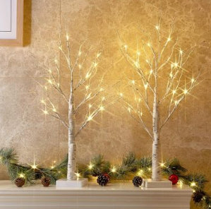 Seasonal Celebrations